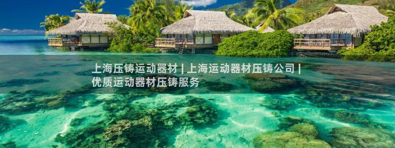 意昂体育3是干嘛的公司：上海压铸运动器材 | 上海运