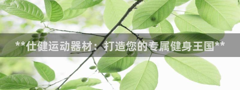 意昂3新能源：**仕健运动器材：打造您的专属健身王国